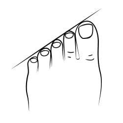 Egyptian foot
