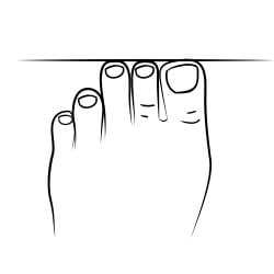 Roman foot
