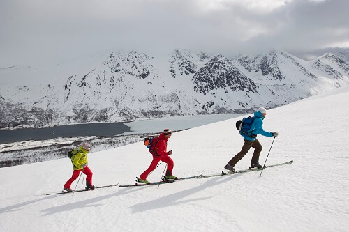 Ski Touring Poles