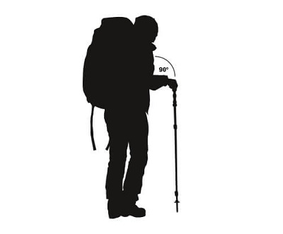 Length of trekking poles & hiking poles